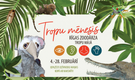 В феврале в Риге гостят тропики